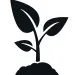 Sprout